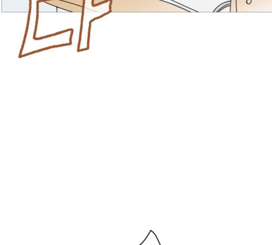 1635464542327kiku9bsy96.jpeg