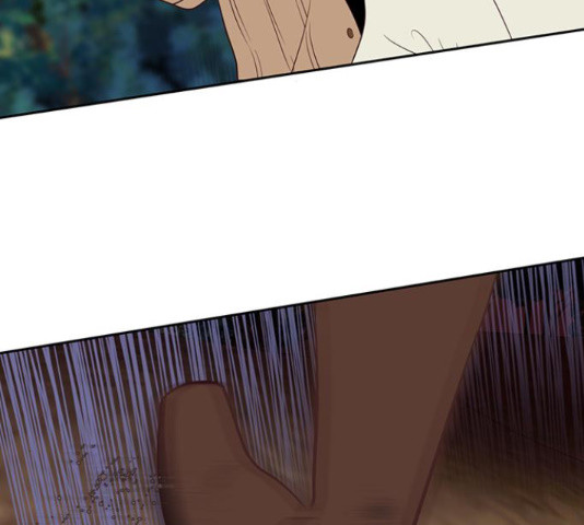 16356217290897wi28m89olf.jpeg