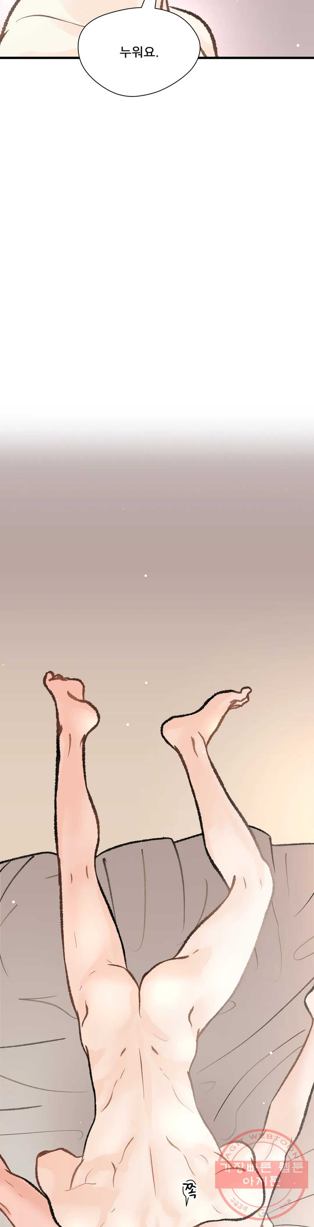 1637378036784bv3snr31sil.jpeg