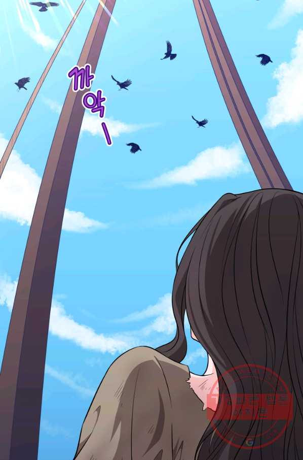 16376362393412ueocwz7dop.jpeg