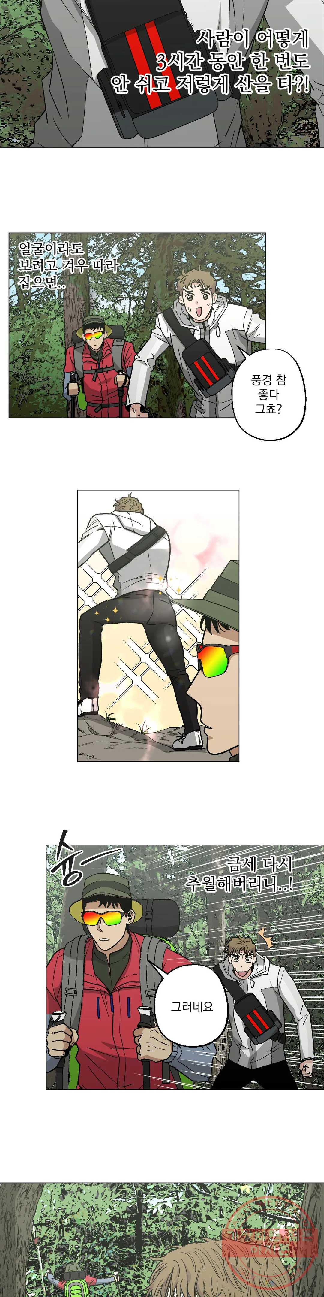 1636147921374v1r845camq.jpeg