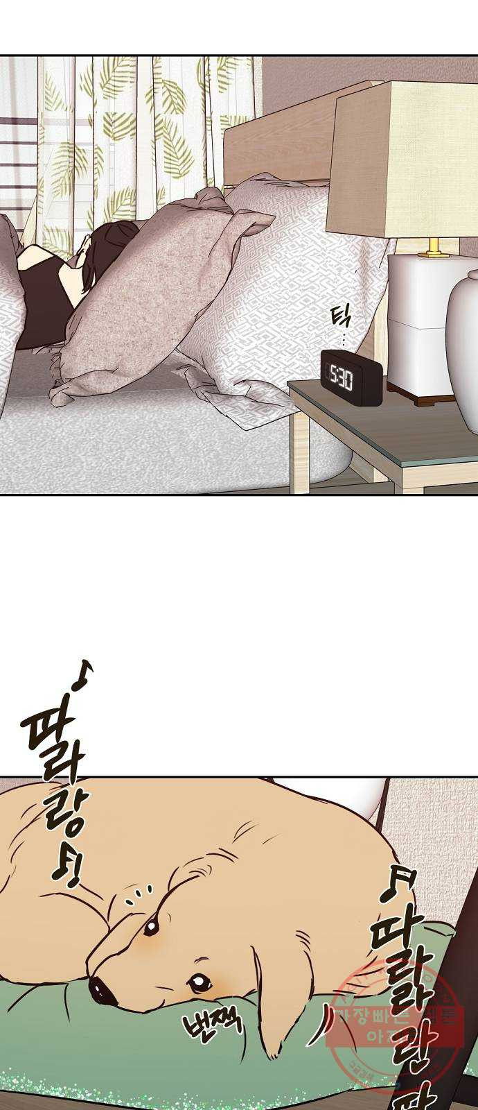 1640492331567yxq4rg2euq.jpeg
