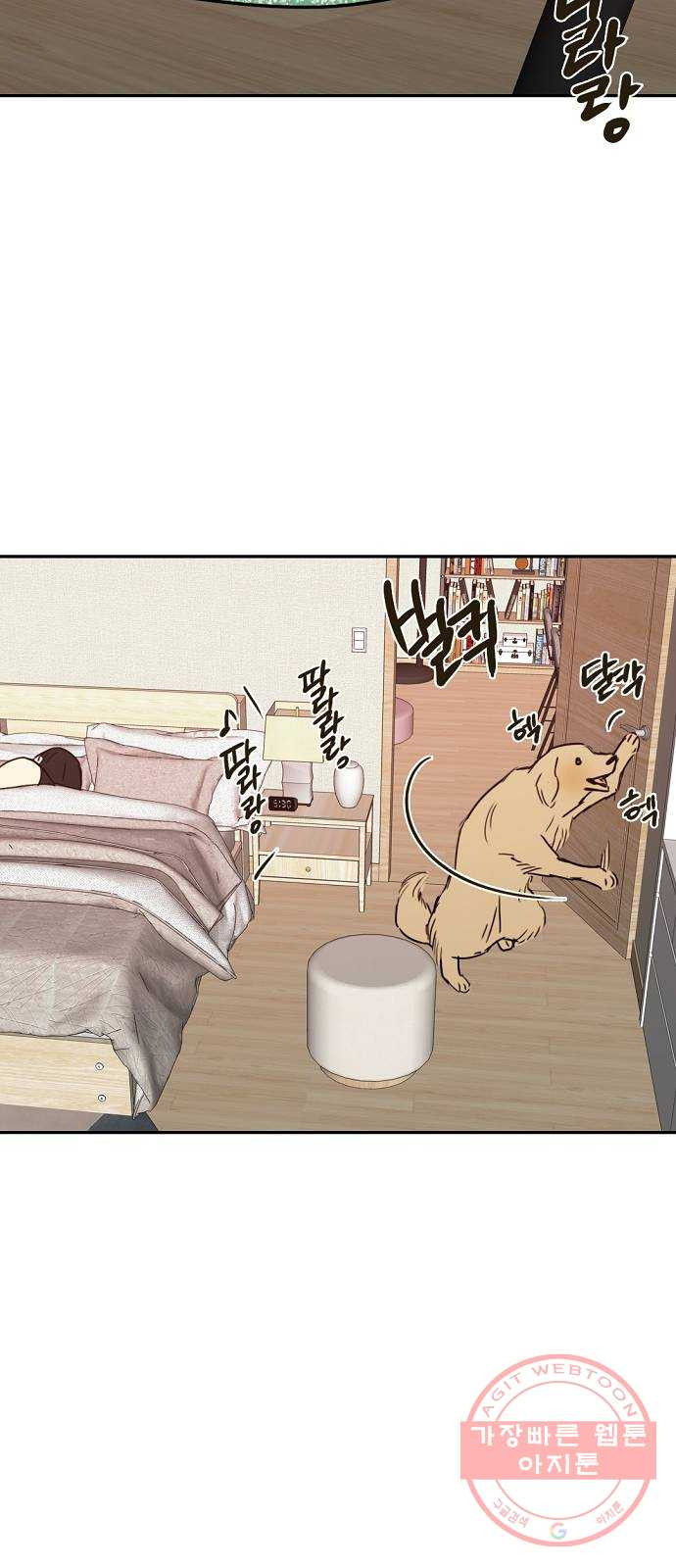 1640492331677c2fcqv4q7ch.jpeg