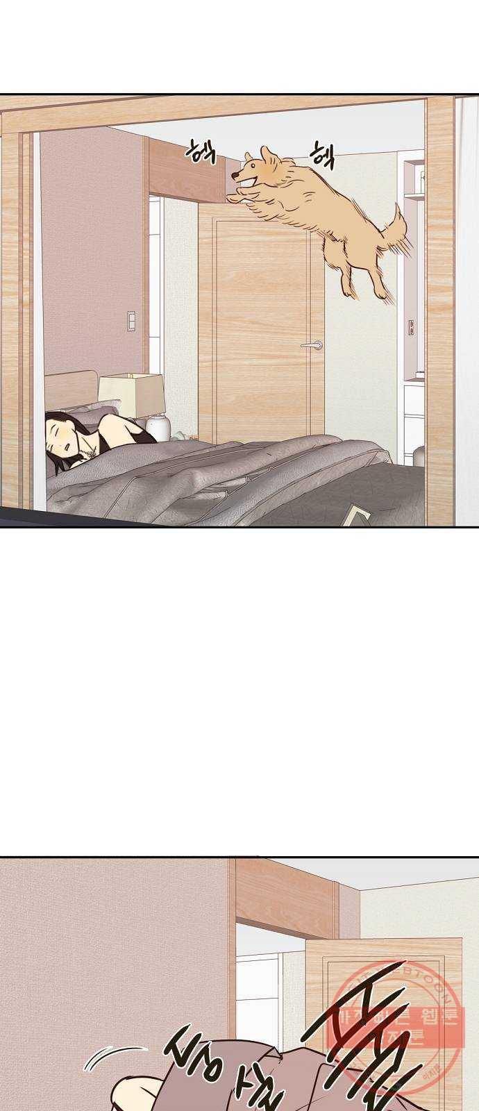 16404923317783ehvwfk71oi.jpeg
