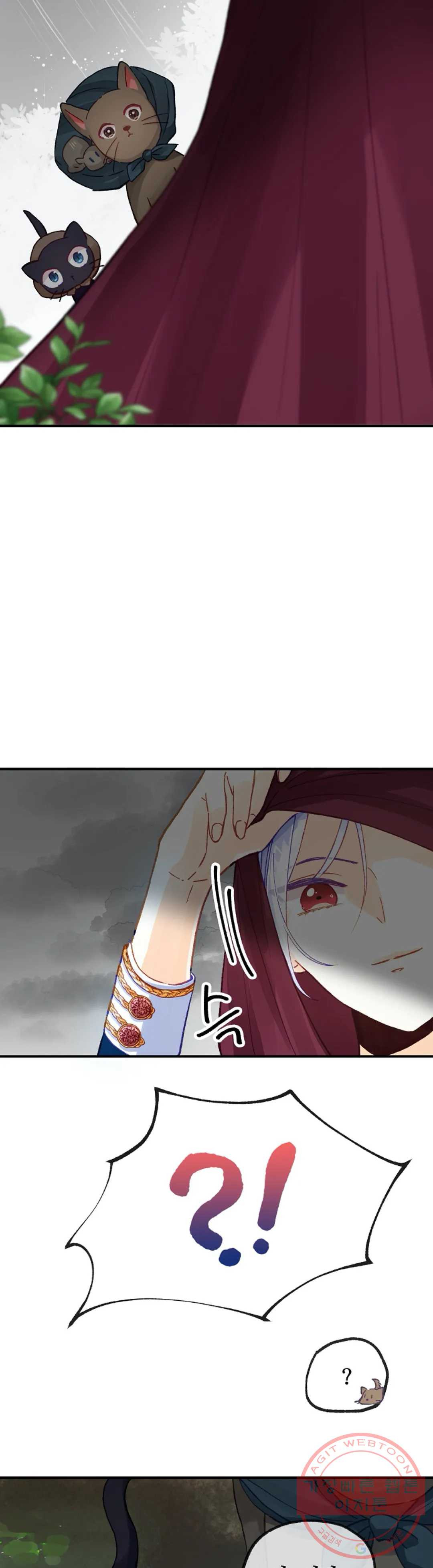 1625701570556.jpeg