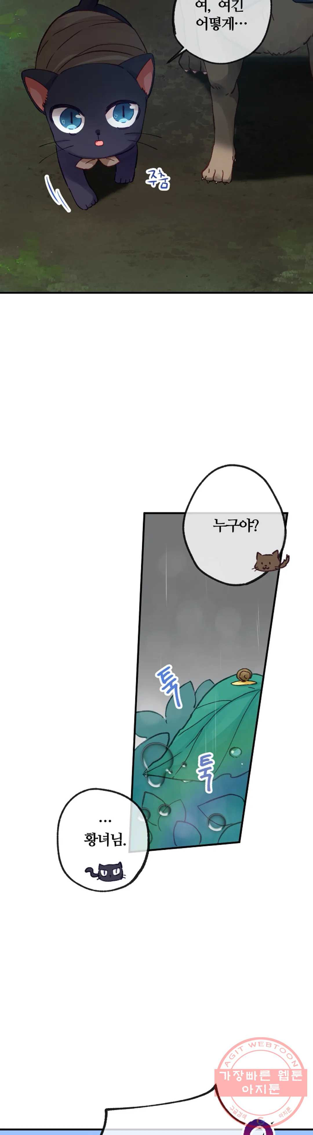 1625701570663.jpeg