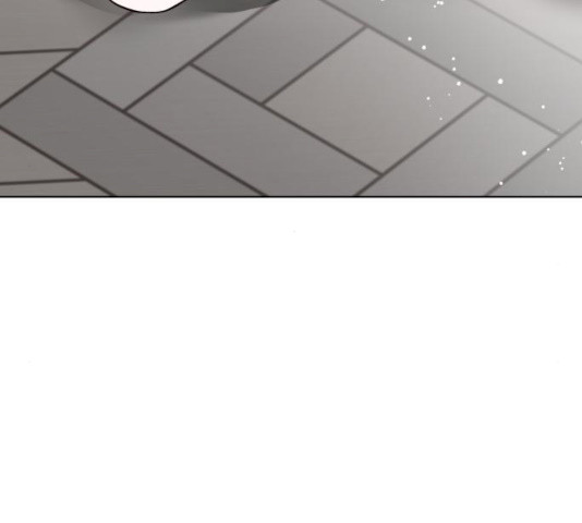 1628797048487.jpeg