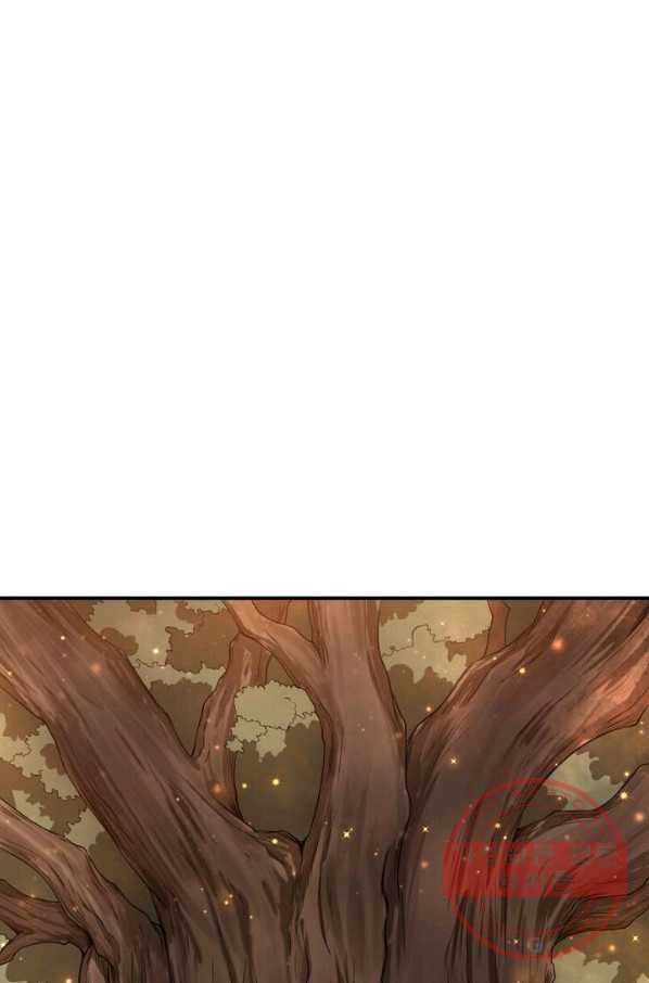 1629321726595.jpeg