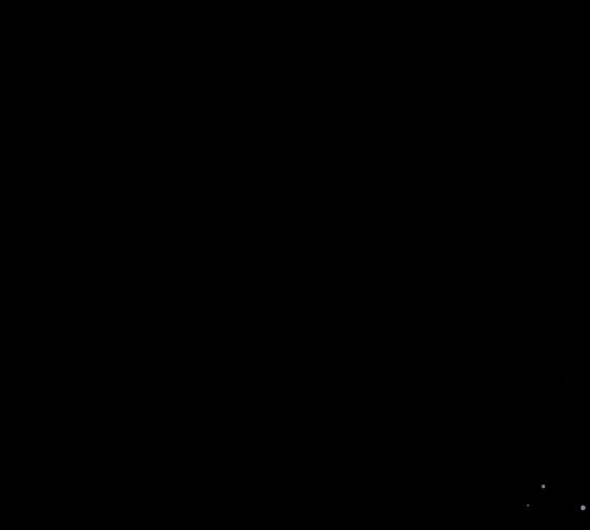 1629410831745.jpeg