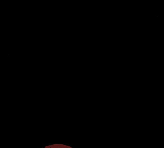 1630544508950169vlsie3yy.jpeg