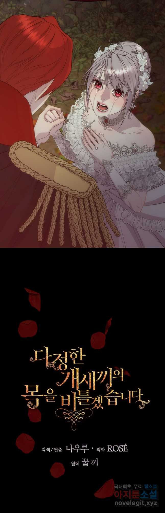 16664999616116ap81scefdn.jpeg