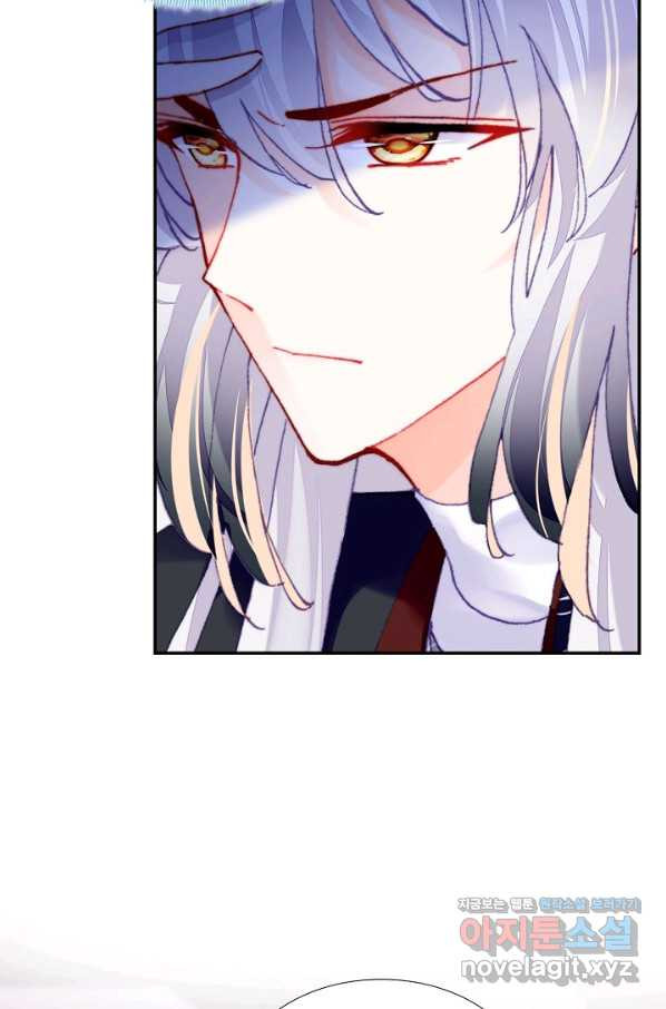 16649399747492cat3qixkln.jpeg