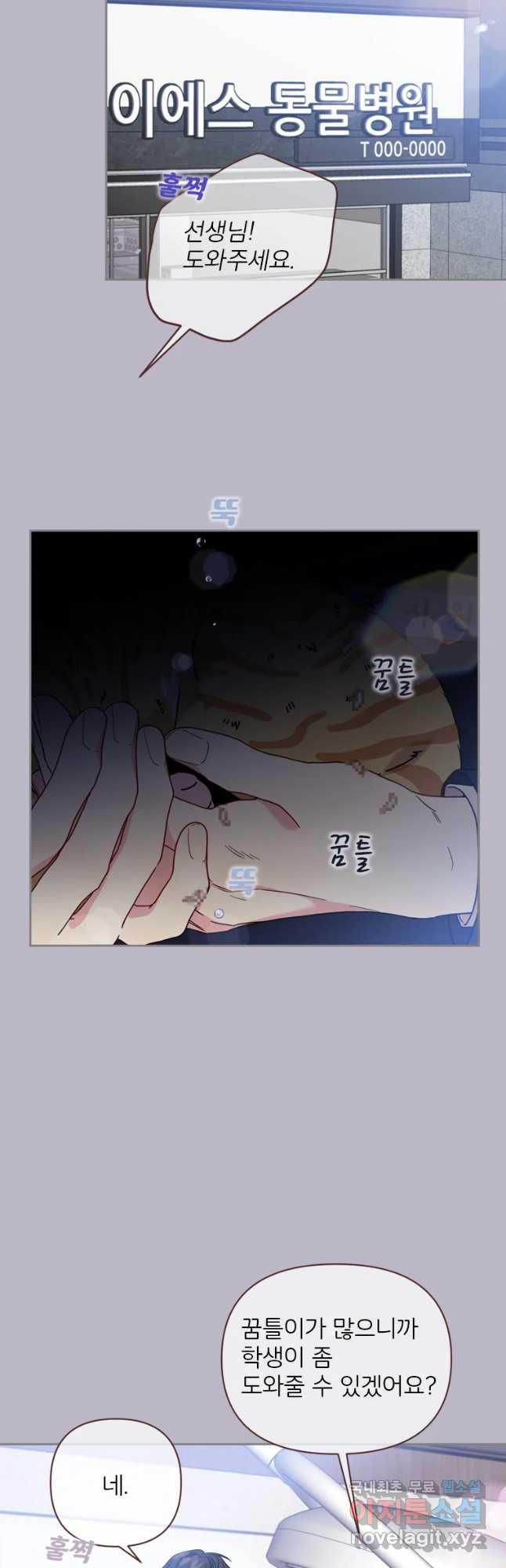 1665284660553pfgejv4fe1p.jpeg