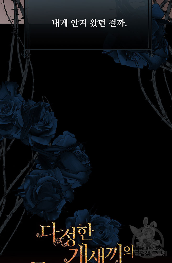 16694992848689fb3j1d5ilr.jpeg