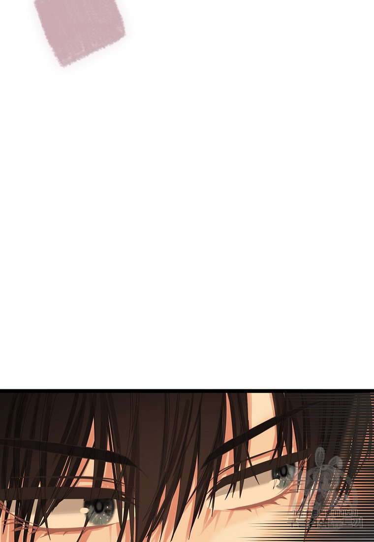 1669666459883u62wkn3qqo.jpeg