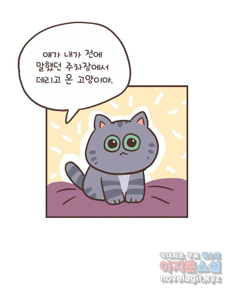 1669921729946a1l4wrms2ep.jpeg