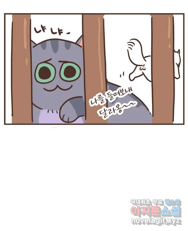 1672374265257lufulj9bks.jpeg