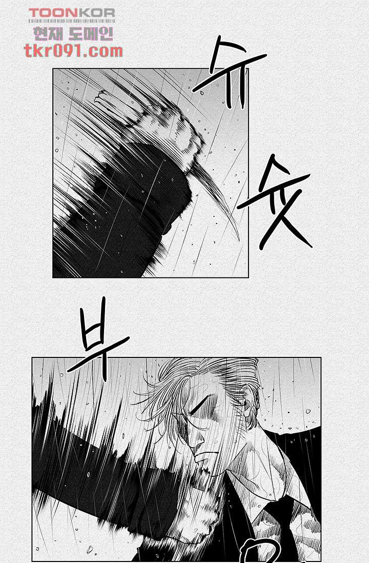 16475690555087n103hidshp.jpeg