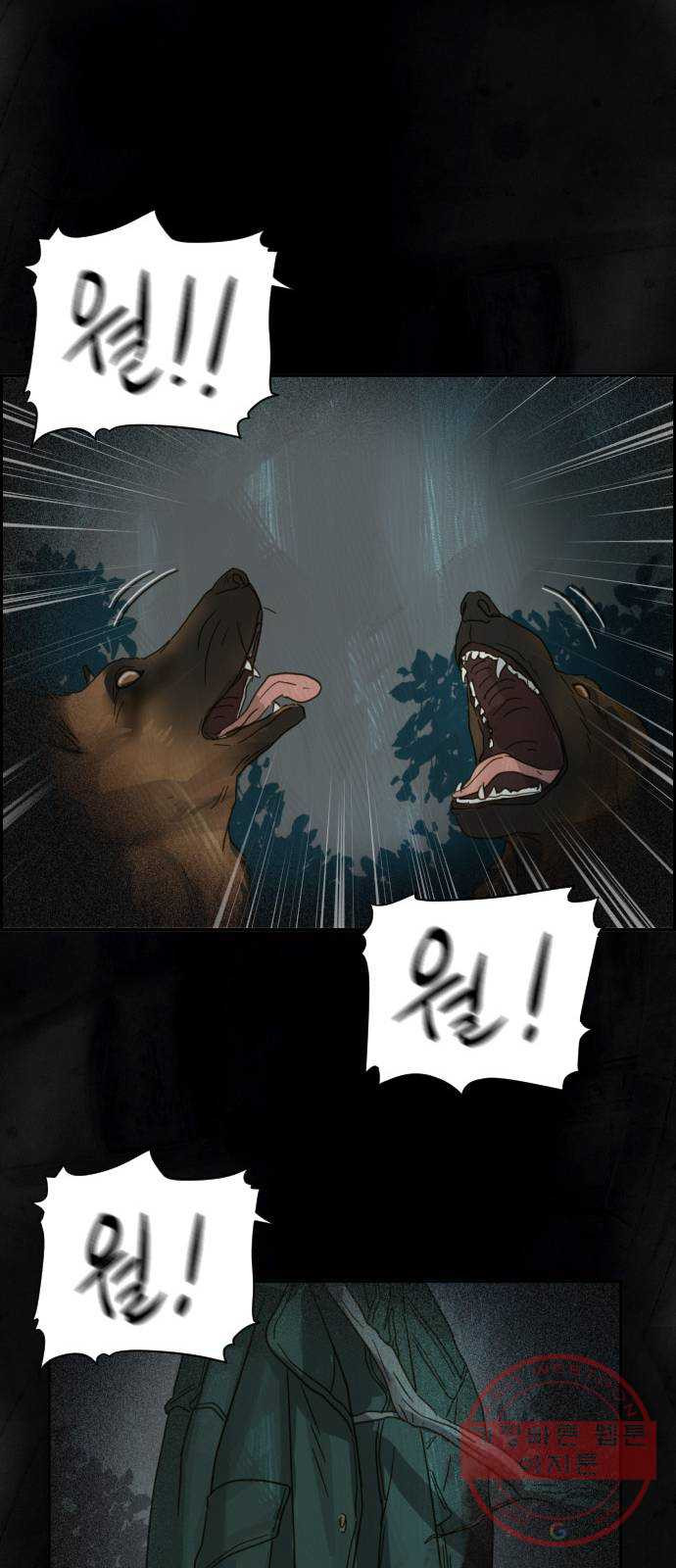 16463573737235b7d59u3v6r.jpeg