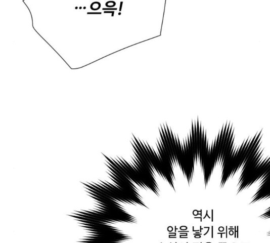 1652386731588078e69iz03u.jpeg