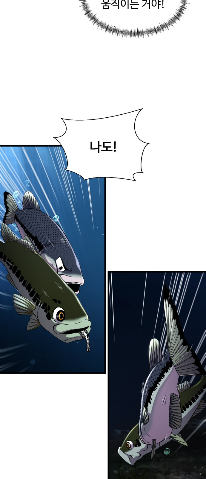 1652816572560hm42ig4rflc.jpeg