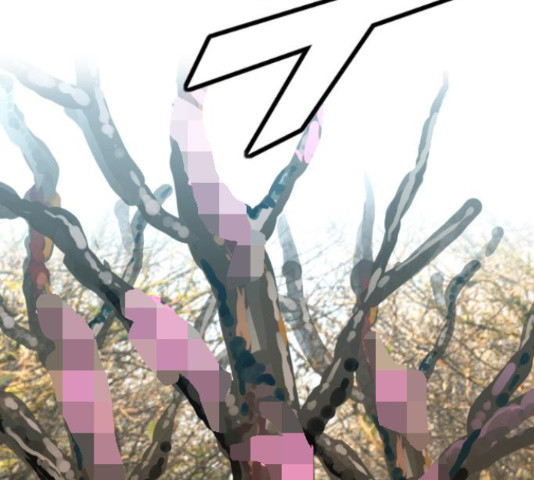 1652911452342ft56g48q9.jpeg