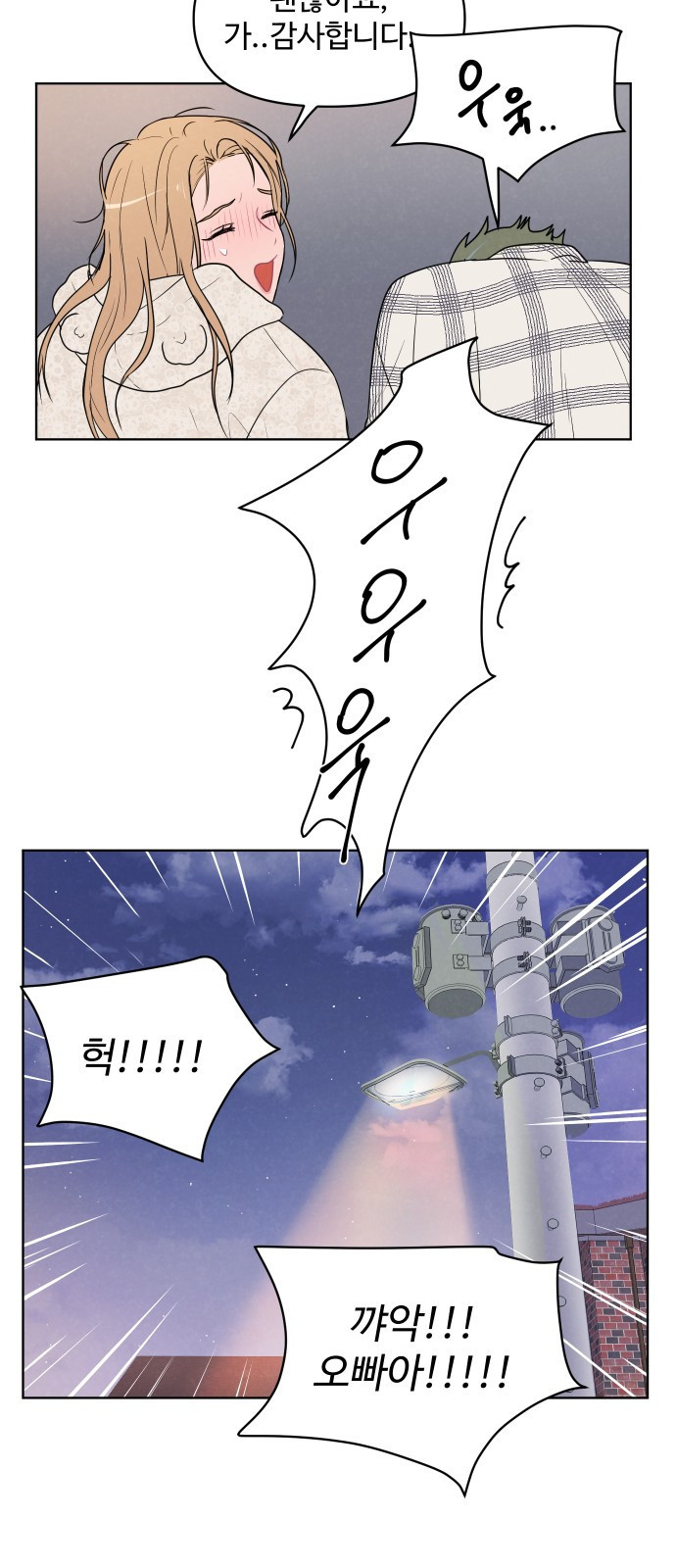 1654649612166dr2336basks.jpeg