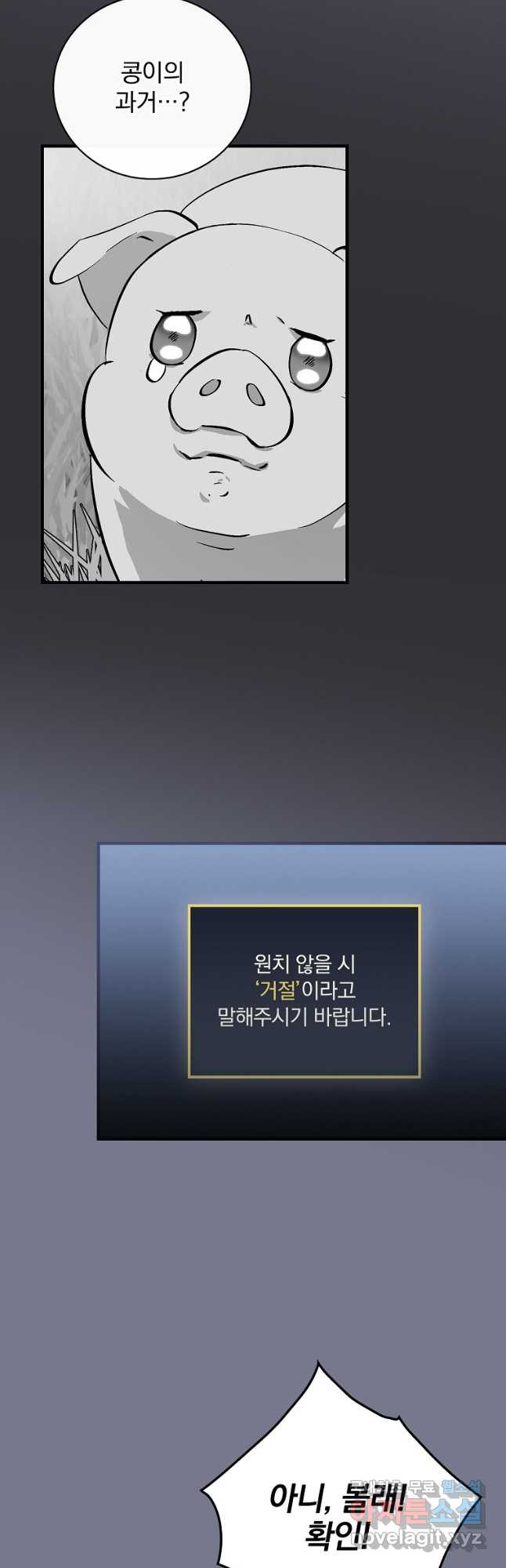 1674353102594bme3zwr8nwu.jpeg