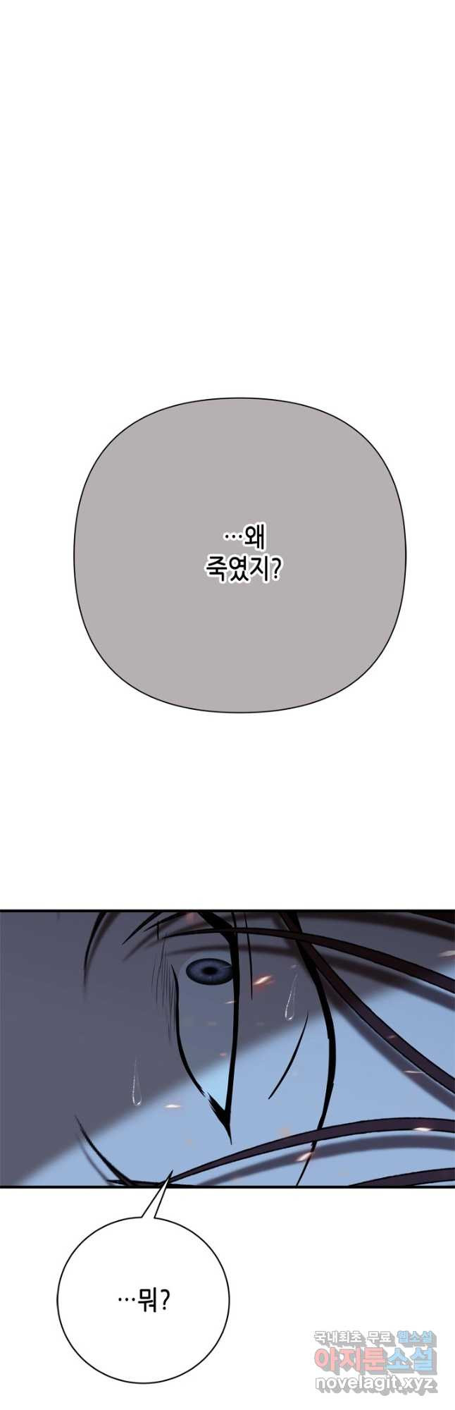 1678398524416d6emz5xdh1v.jpeg