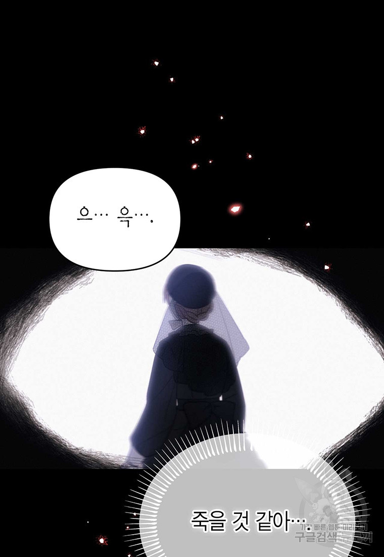 16802285161170ft4zrczt9l.jpeg
