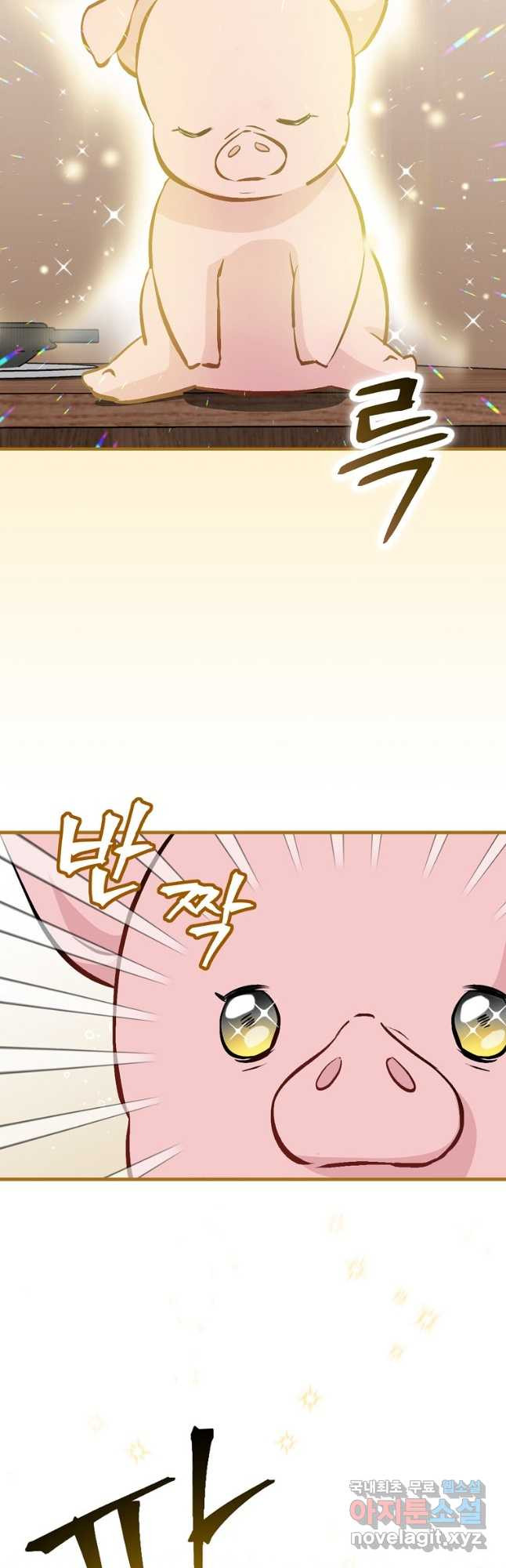 1677971504752kzlqzzav55g.jpeg