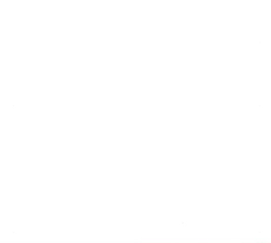 1682049992968el4iiriplr4.jpeg