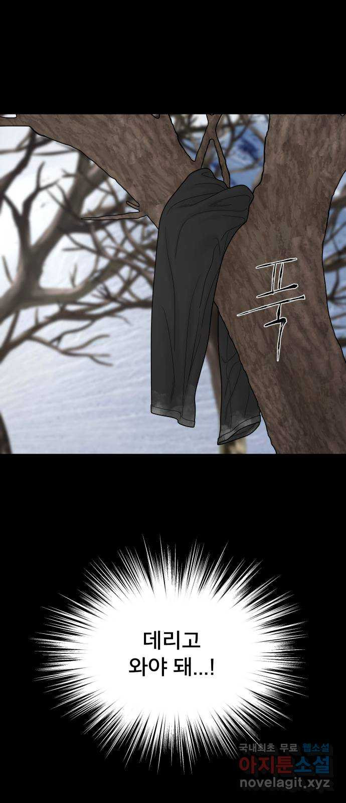 1680503784565zmwidtna5xl.jpeg