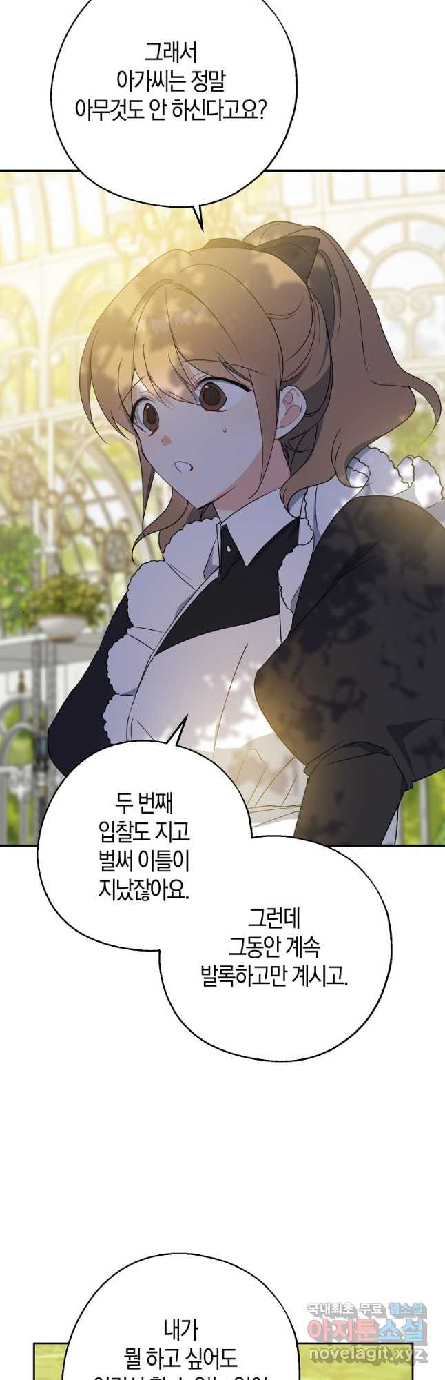 16805725413663lia38elahk.jpeg