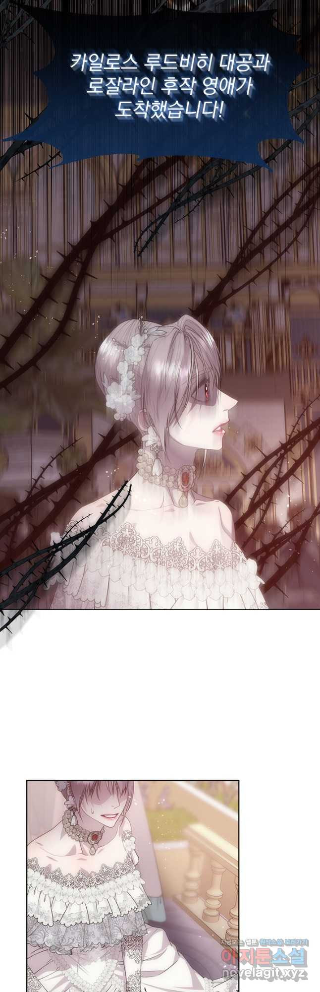 16834301334737qiwjo56a9b.jpeg