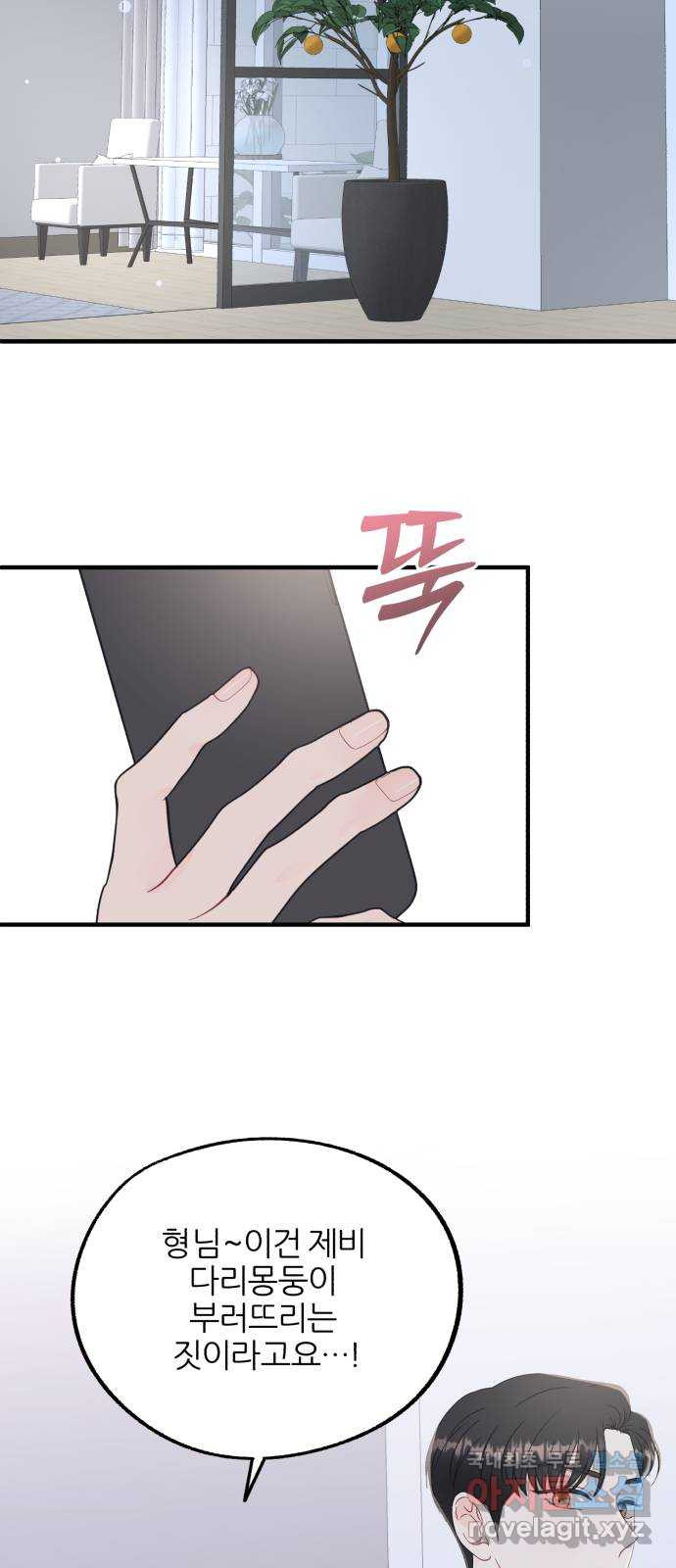 168360068324080dblzhzwbl.jpeg