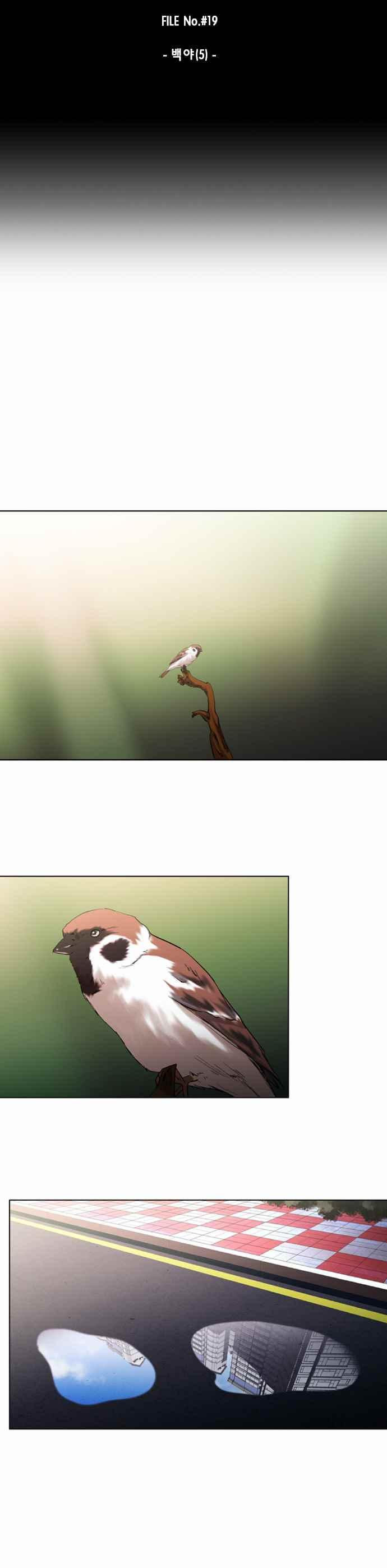 15652211879729.jpeg